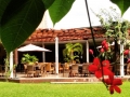 Limoncello – Restaurant - Cafés & Bars - MonCongo – Kinshasa – RD Congo 